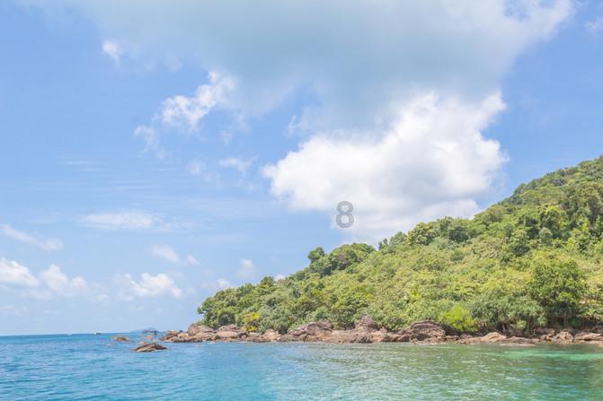 海口吾悦 | 茶乙己低卡推荐：【玉兰观音】