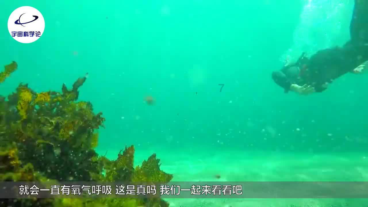 海岛大亨3
